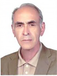 Mansour Nikkhaheh Bahrami